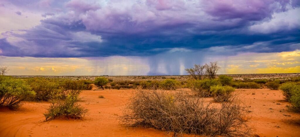 Regen in der Kalahari