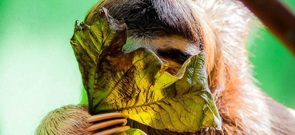 Versteck spielen