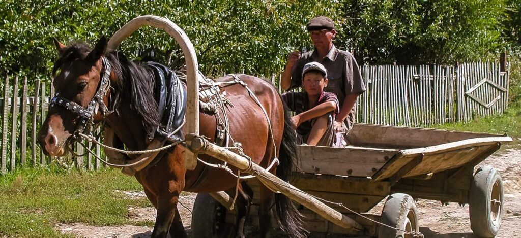 Bäuerlicher Pferdewagen