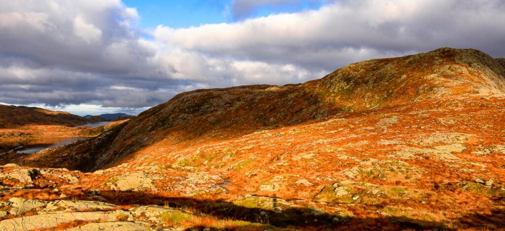 Norwegische Tundra