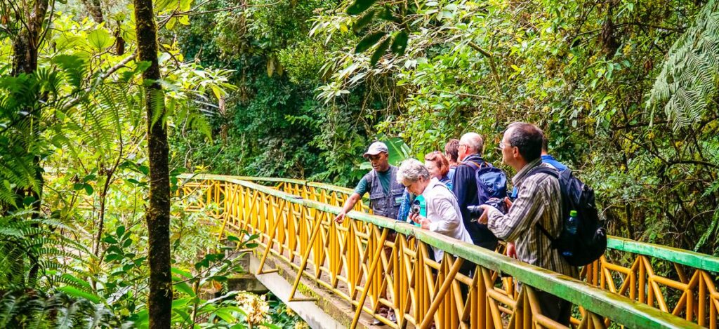 Im Ranomafana-Nationalpark