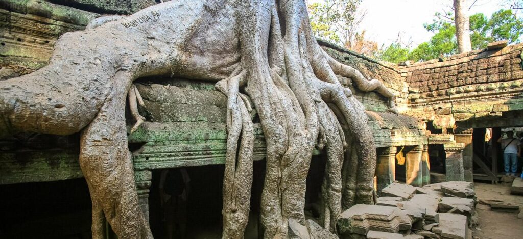 Ta Prohm in Angkor