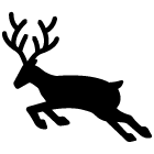 Icon Lappland