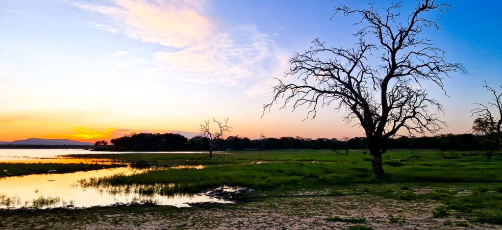 Nyerere Nationalpark