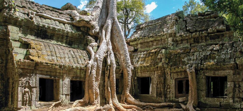 Würgefeige in Ta Prohm