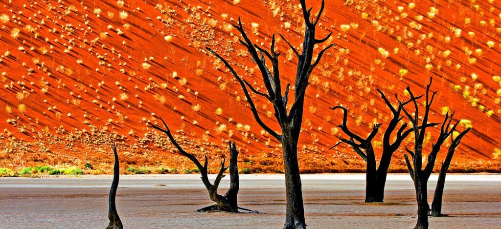 Abgestorbene Bäume im Dead Vlei