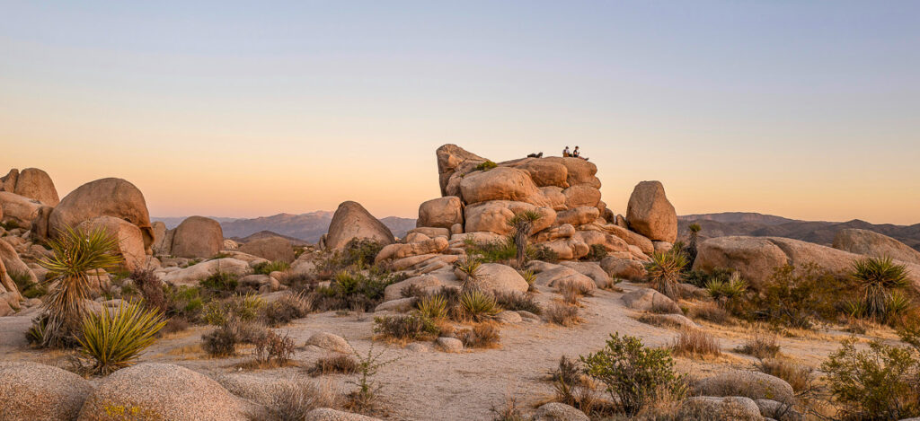 Joshua Tree Nationalpark