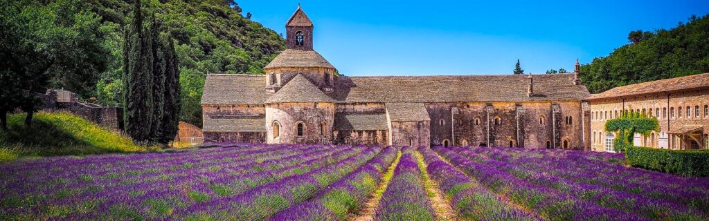 Lavendelfeld vor der Abbaye de Sénanque