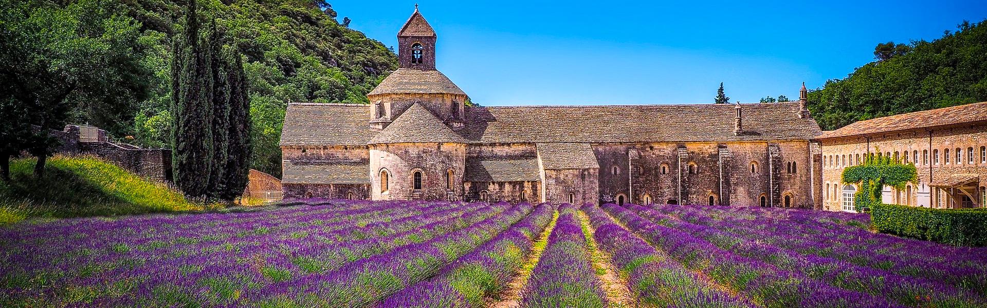 Lavendelfeld vor der Abbaye de Sénanque