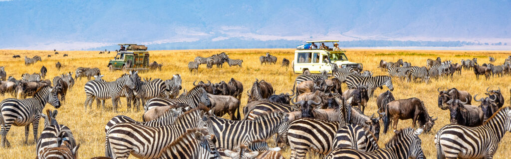 Kundenbilder Tansania-Reise Serengeti