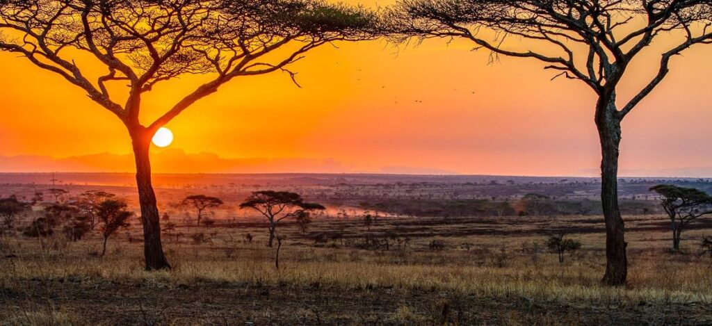 Sonnenaufgang in der Serengeti