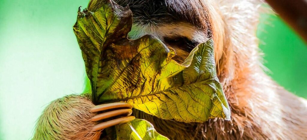 Versteck spielen