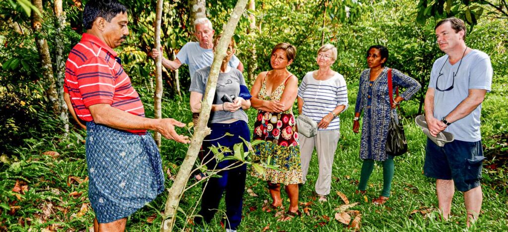 Reisegruppe bei der Besichtigung einer Plantage