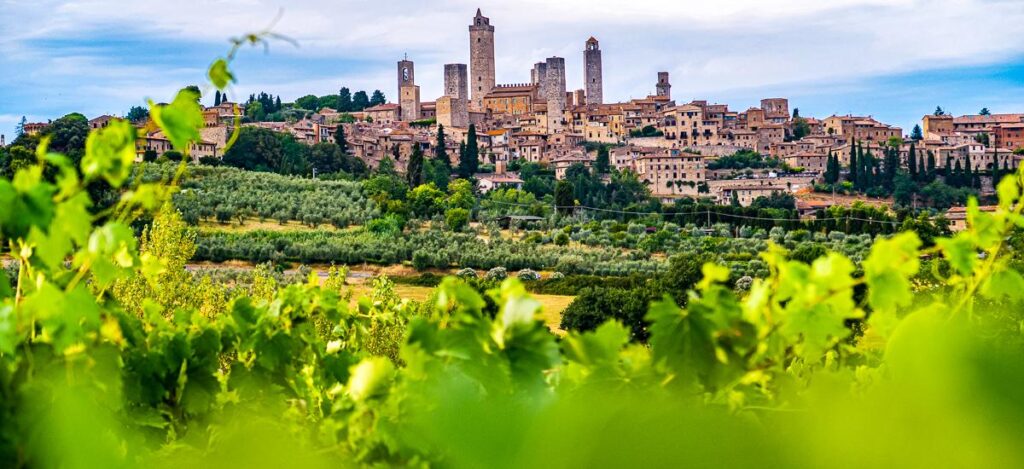Blick über die Weinberge nach San Gimignano