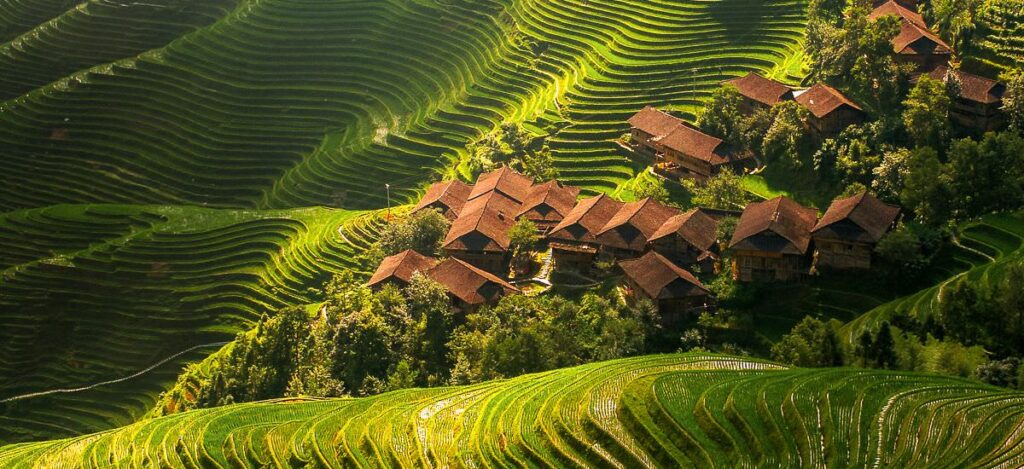 Reisterrassen von Longsheng