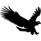 Icon Gobi
