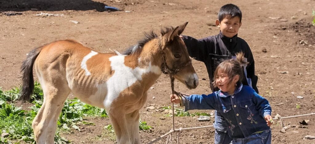 Kleine Kinder, kleines Pferd