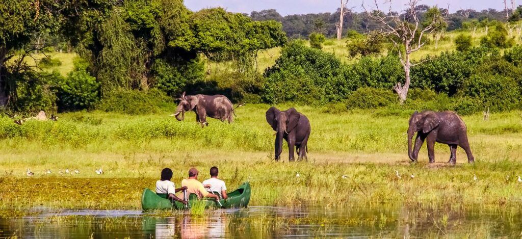 Kanufahrt auf dem Chobe
