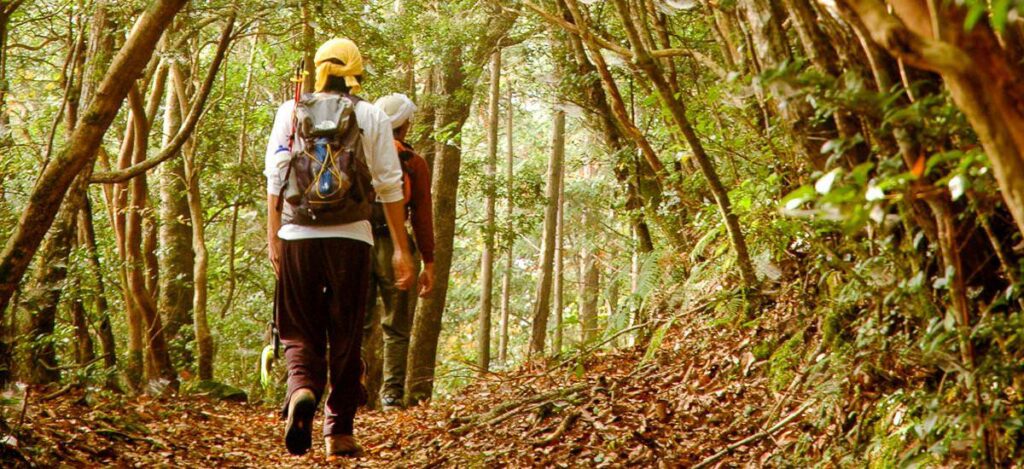 Wandern auf dem Kohechi Trail