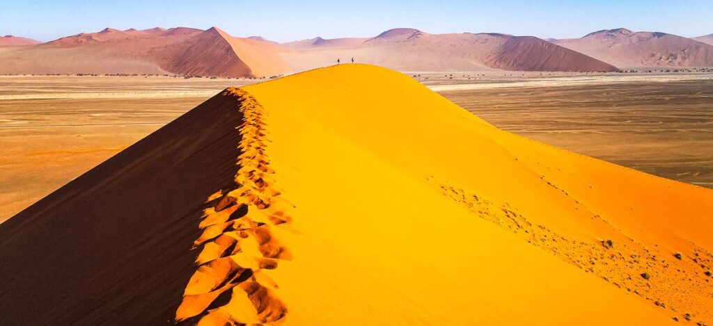 Dune 45