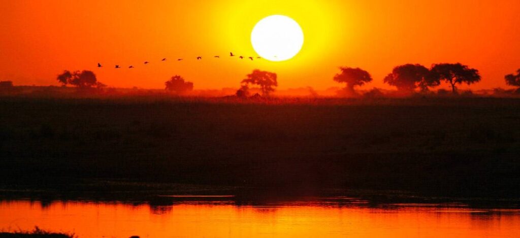 Sonnenuntergang am Chobe