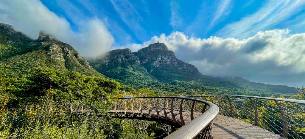 Tree Canopy Walkway Kirstenbosch