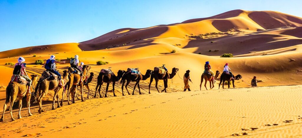 Kamelritt durch die Sandberge des Erg Chebbi