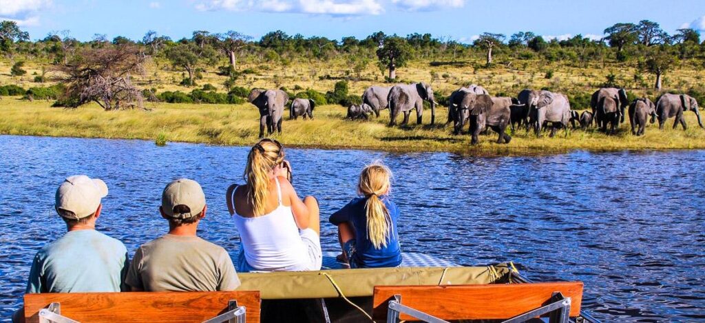 Bootsfahrt auf dem Chobe-River