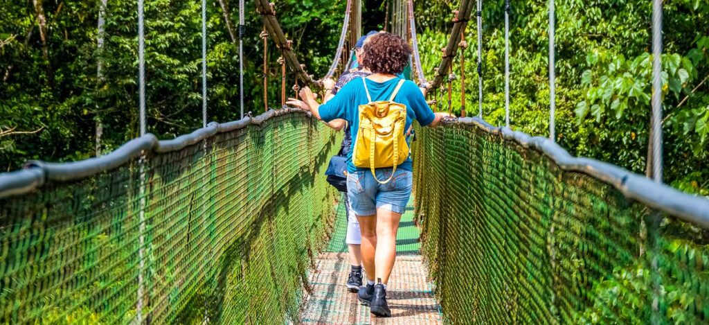 Hängebrücke im Nebelwaldreservat