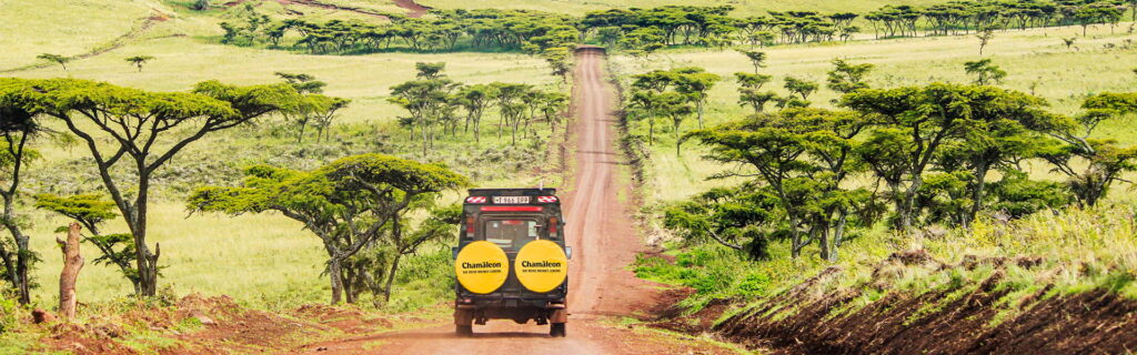 Fahrt durch den Ngorongoro-Krater