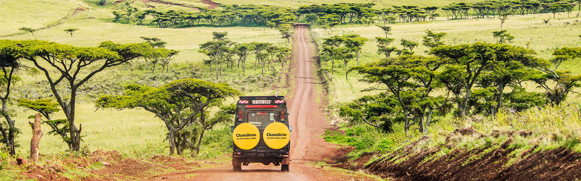 Fahrt durch den Ngorongoro-Krater