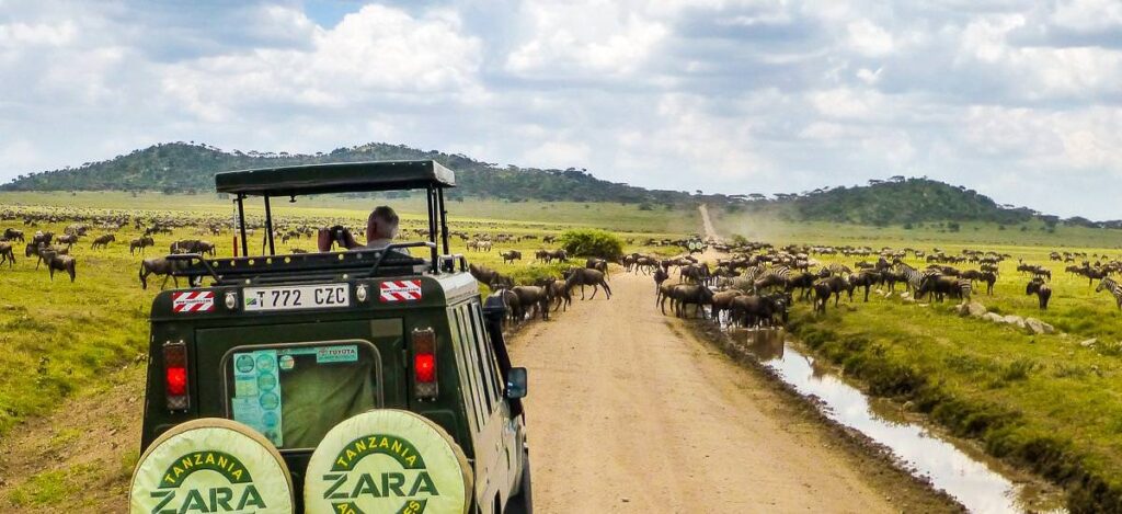 Safari in der Serengeti