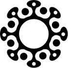 Icon Patagonia