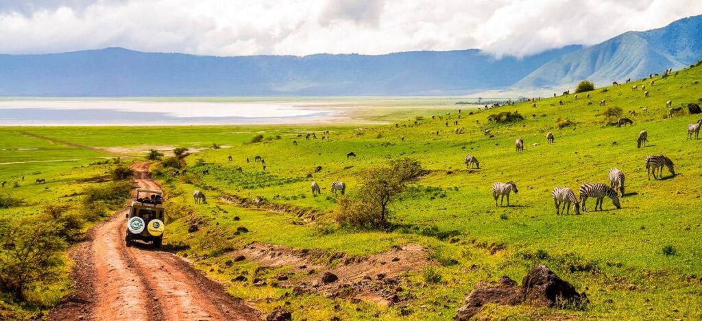 Safari im Ngorongoro-Krater