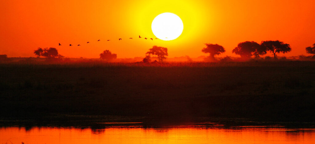 Sonnenuntergang am Chobe
