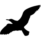 Icon Erongo
