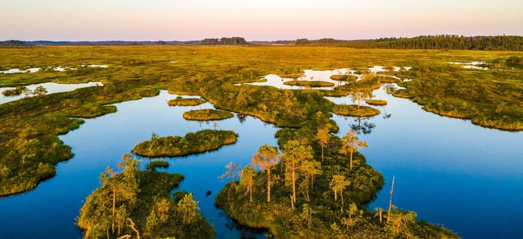 Moorseen im Soomaa Nationalpark