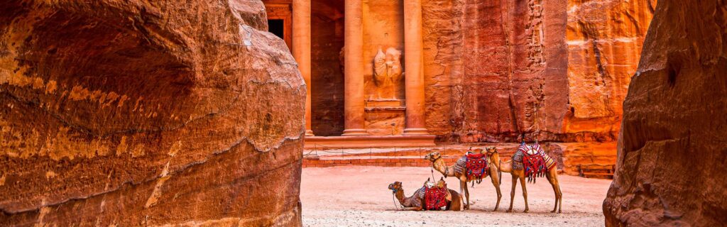 Kamele in Petra