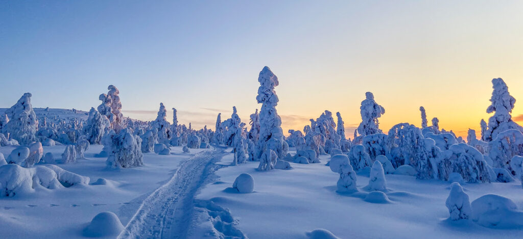 Saariselkä