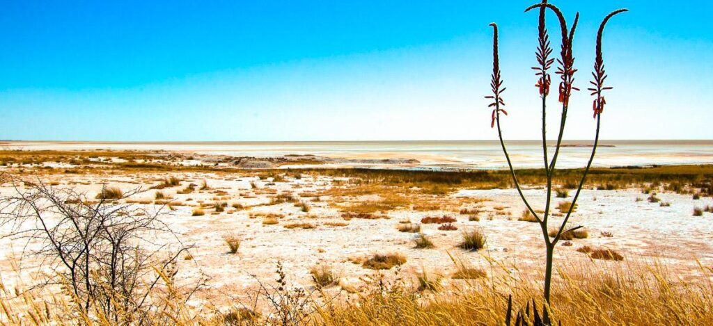 Etosha Salzpfanne