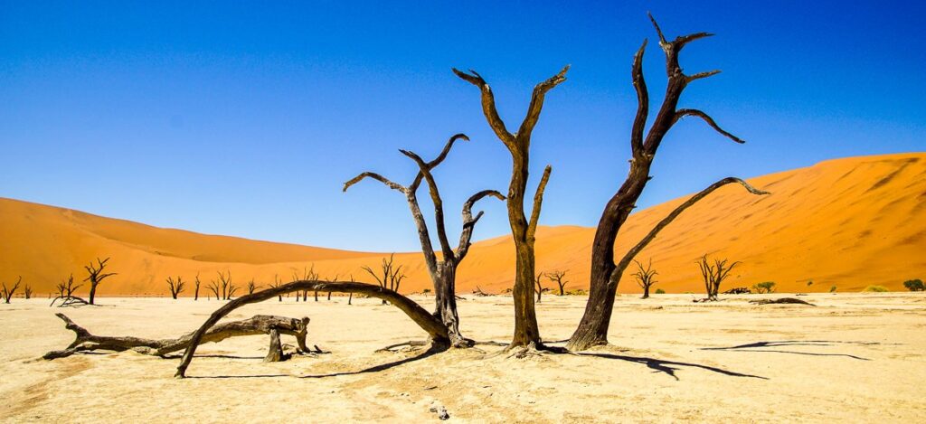 Dead Vlei