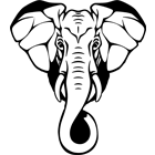 Icon Okavango