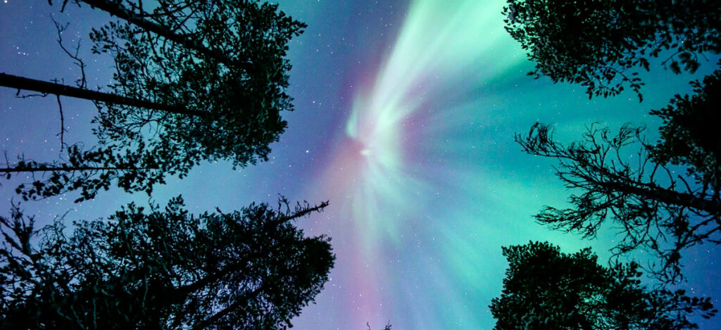 Aurora Borealis