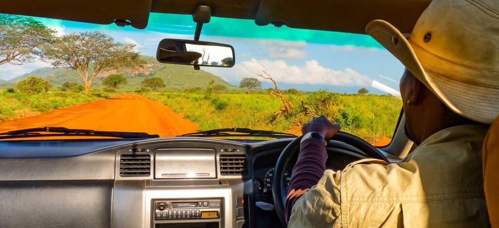 Safari