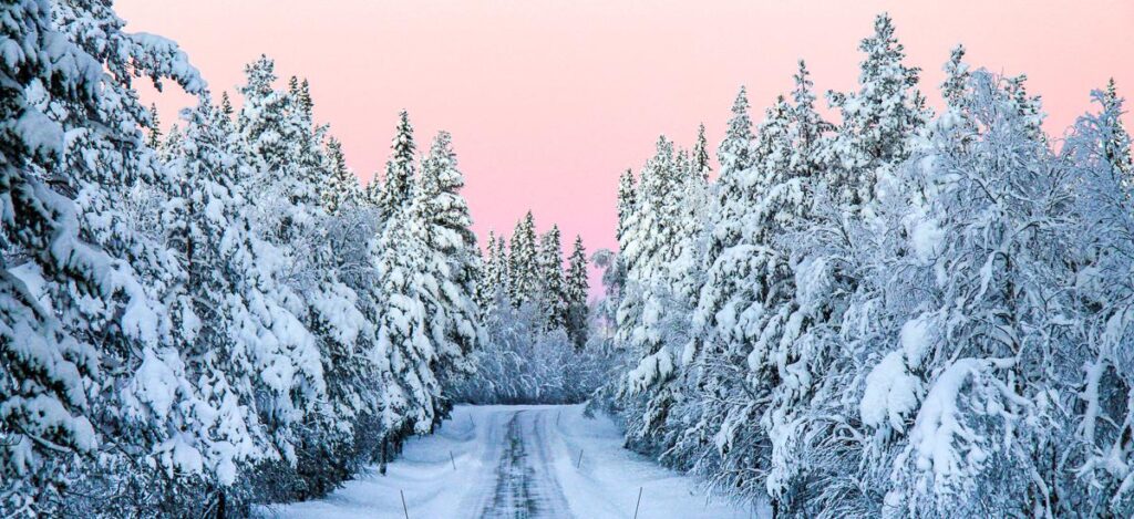 Winterweg im Kaamoslicht