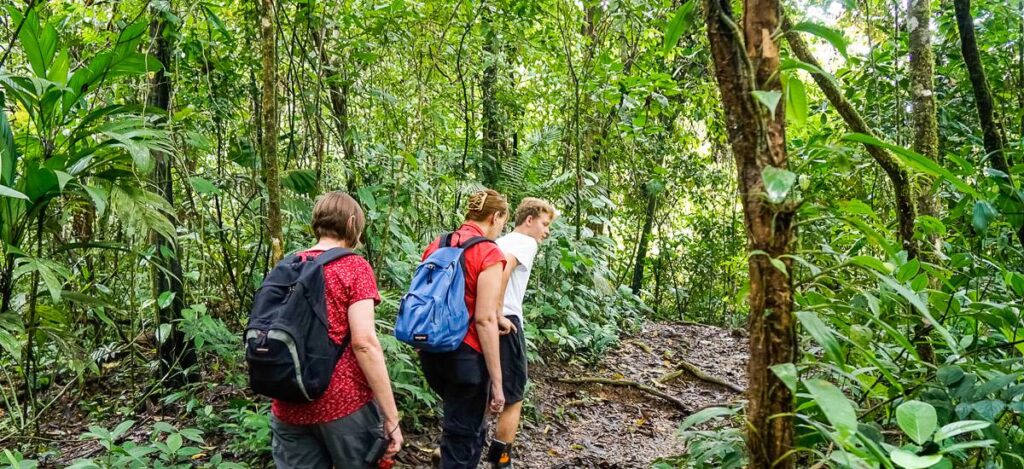 Wanderung durch den Regenwald