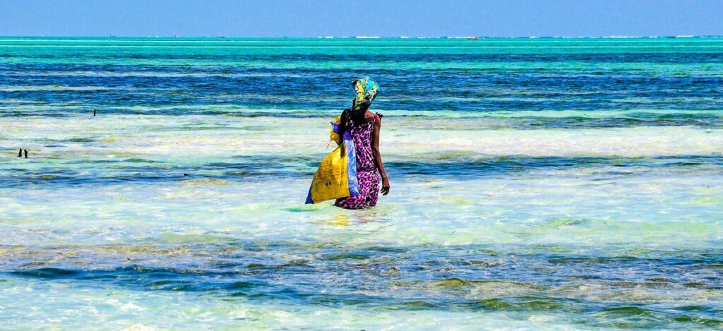 Seaweed farmer