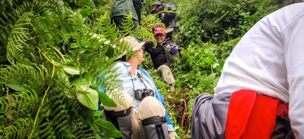 Steile Pfade beim Gorilla-Trekking