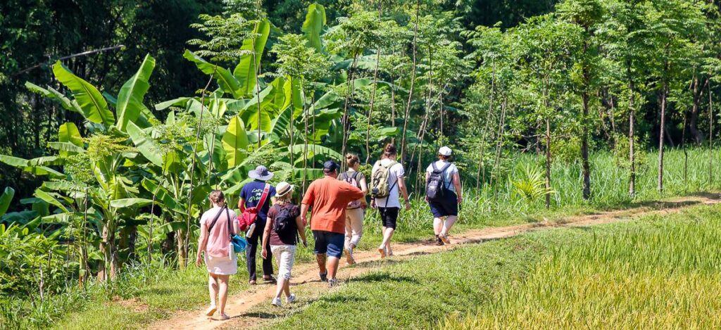 Kurze Wanderung entlang der Reisfelder