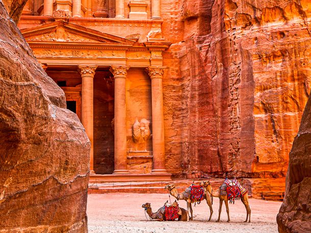 Kamele in Petra